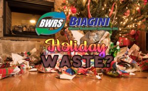 Holiday Waste