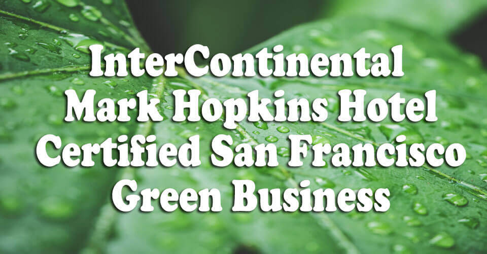 Certified Green Business!